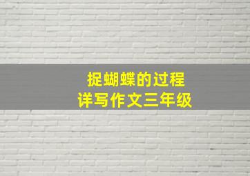 捉蝴蝶的过程详写作文三年级