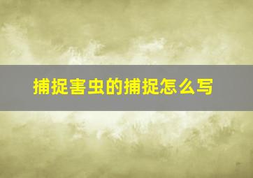 捕捉害虫的捕捉怎么写