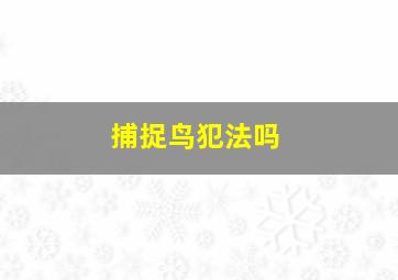 捕捉鸟犯法吗