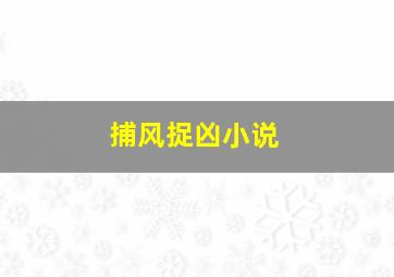 捕风捉凶小说