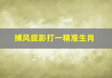 捕风捉影打一精准生肖