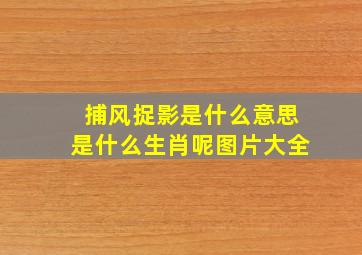 捕风捉影是什么意思是什么生肖呢图片大全