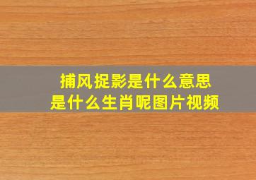 捕风捉影是什么意思是什么生肖呢图片视频