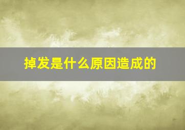 掉发是什么原因造成的