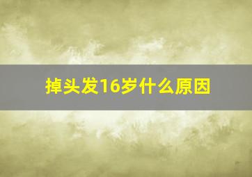 掉头发16岁什么原因