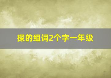 探的组词2个字一年级