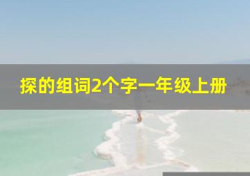 探的组词2个字一年级上册