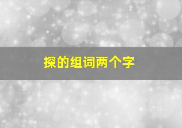 探的组词两个字