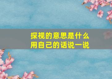 探视的意思是什么用自己的话说一说