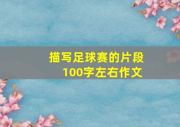 描写足球赛的片段100字左右作文