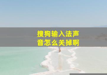 搜狗输入法声音怎么关掉啊