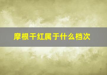 摩根干红属于什么档次