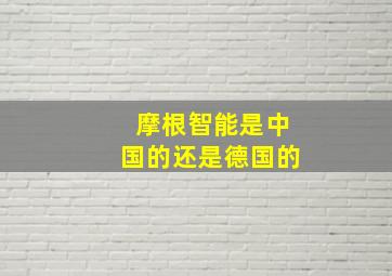 摩根智能是中国的还是德国的