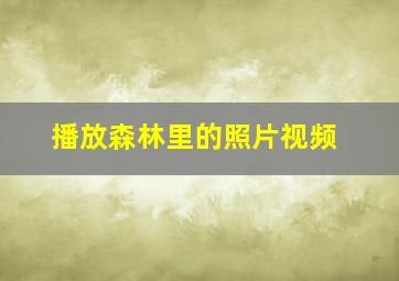 播放森林里的照片视频