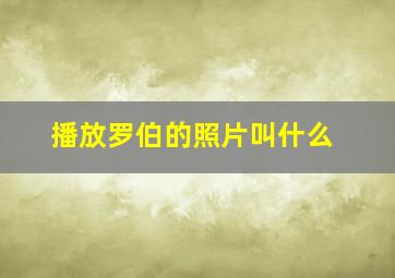 播放罗伯的照片叫什么