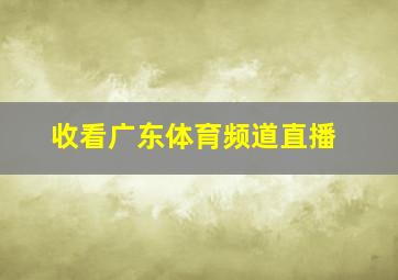 收看广东体育频道直播