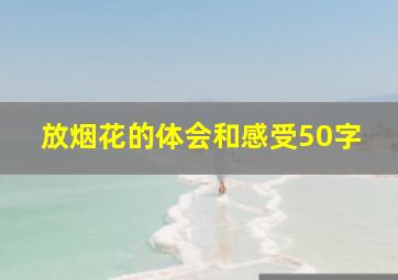 放烟花的体会和感受50字