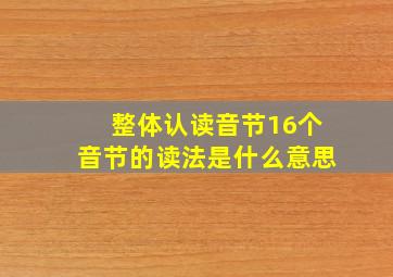 整体认读音节16个音节的读法是什么意思