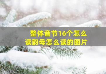 整体音节16个怎么读韵母怎么读的图片