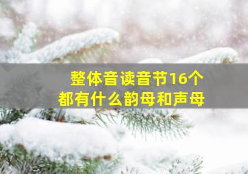 整体音读音节16个都有什么韵母和声母