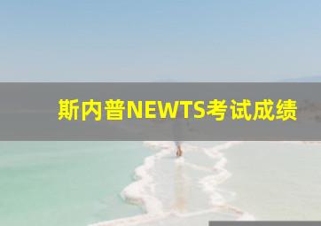 斯内普NEWTS考试成绩