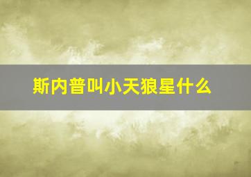 斯内普叫小天狼星什么