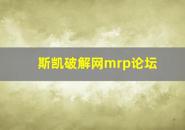 斯凯破解网mrp论坛