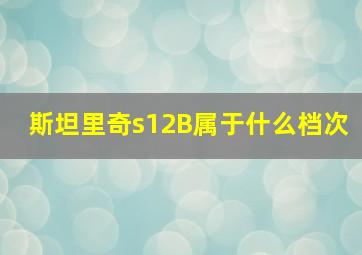 斯坦里奇s12B属于什么档次