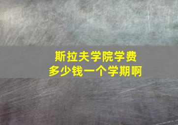 斯拉夫学院学费多少钱一个学期啊