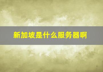 新加坡是什么服务器啊