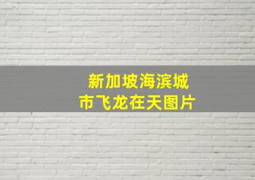 新加坡海滨城市飞龙在天图片