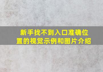 新手找不到入口准确位置的视觉示例和图片介绍