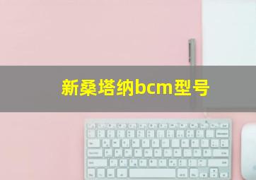 新桑塔纳bcm型号