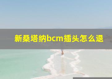 新桑塔纳bcm插头怎么退