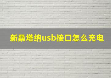 新桑塔纳usb接口怎么充电