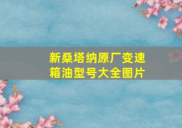 新桑塔纳原厂变速箱油型号大全图片