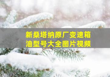 新桑塔纳原厂变速箱油型号大全图片视频