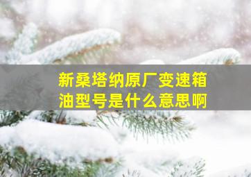 新桑塔纳原厂变速箱油型号是什么意思啊