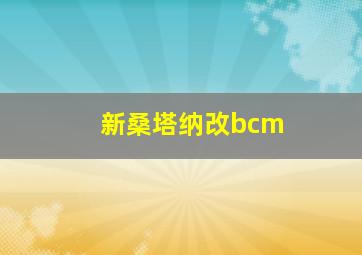 新桑塔纳改bcm