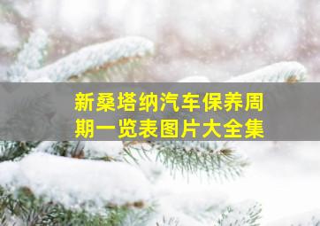 新桑塔纳汽车保养周期一览表图片大全集