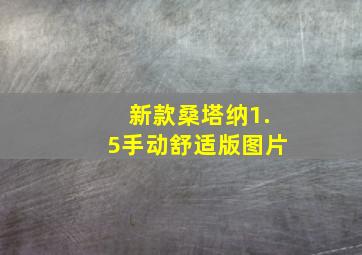 新款桑塔纳1.5手动舒适版图片