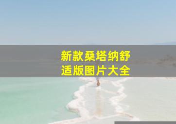 新款桑塔纳舒适版图片大全