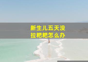 新生儿五天没拉粑粑怎么办