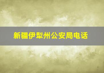 新疆伊犁州公安局电话