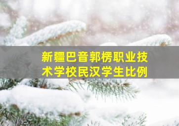 新疆巴音郭楞职业技术学校民汉学生比例