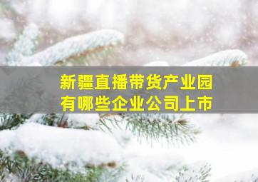 新疆直播带货产业园有哪些企业公司上市