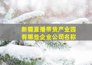 新疆直播带货产业园有哪些企业公司名称