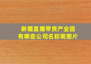 新疆直播带货产业园有哪些公司名称呢图片