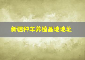 新疆种羊养殖基地地址