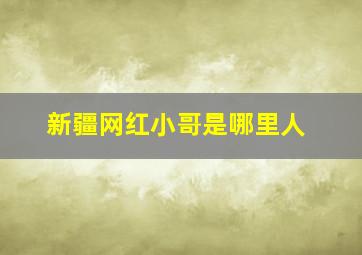 新疆网红小哥是哪里人